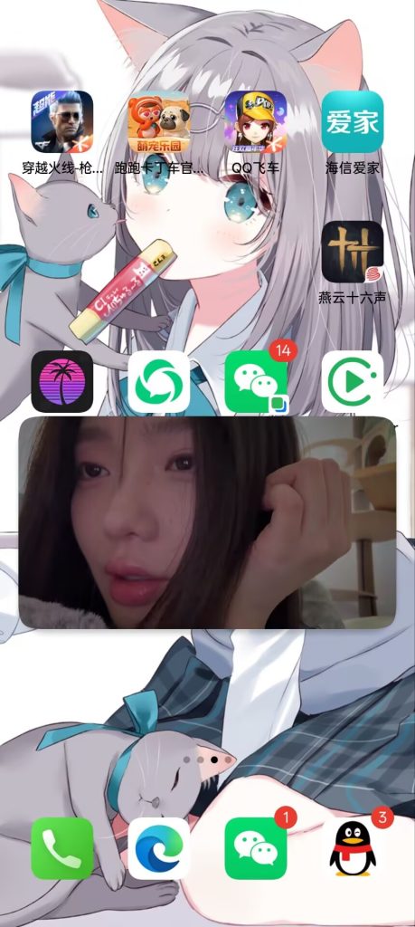 图片[3]-本站安卓APP下载（后台播放/窗口播放/悬浮播放版）-ASMRPU